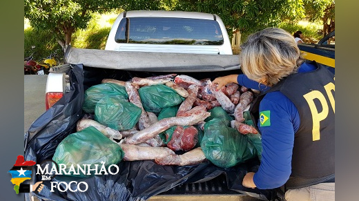 PRF apreende 230kg de carne transportados irregularmente em Caxias