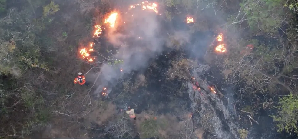Equipes da Força Nacional começam a atuar no combate aos incêndios no Parque Estadual do Mirador, no MA