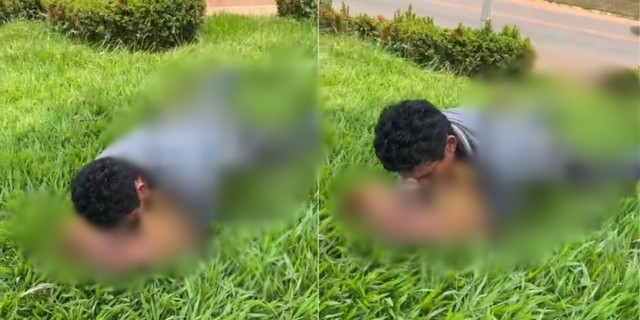 Homem é flagrado cometendo abuso sexual com cadela e acaba preso em Açailândia