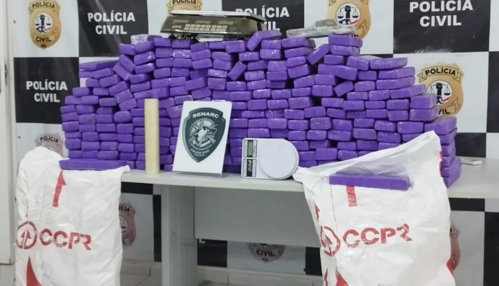 Polícia Civil apreende 235 tabletes de maconha em operação, na Grande Ilha